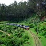 Nilgiri-Mountain-Toy-Train